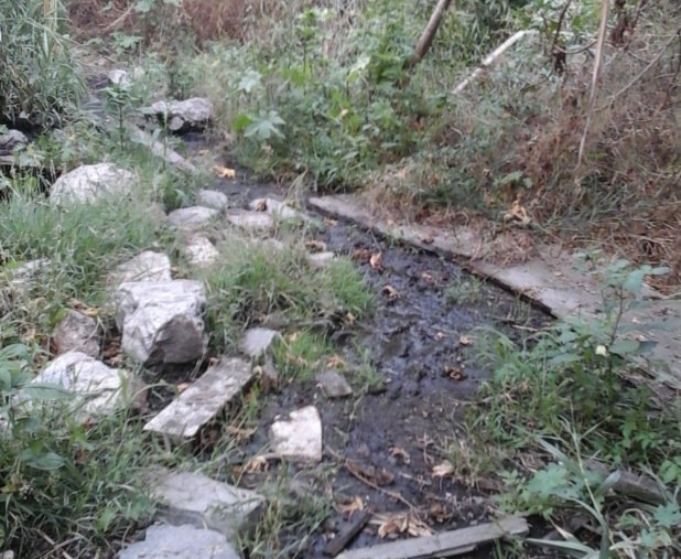 Medio Ambiente abre expediente sancionador a la finca que vierte aguas residuales al Camino de los Pescadores en Almucar.